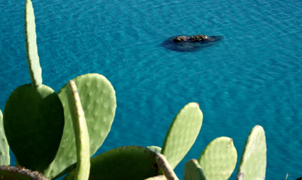 Mare di Capo Vaticano